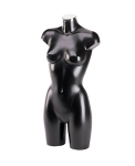 Torso